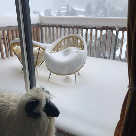 Laveissière Appartement Aux Pieds Des Pistes De Ski מראה חיצוני תמונה