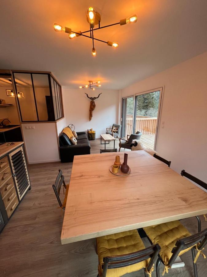 Laveissière Appartement Aux Pieds Des Pistes De Ski מראה חיצוני תמונה