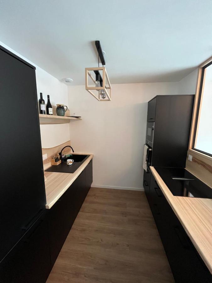 Laveissière Appartement Aux Pieds Des Pistes De Ski מראה חיצוני תמונה